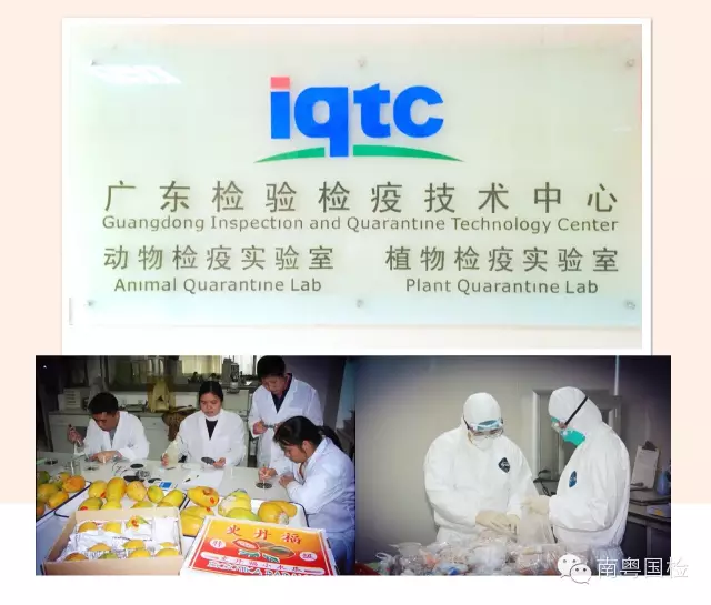 广东检验检疫技术中心十岁啦！ 